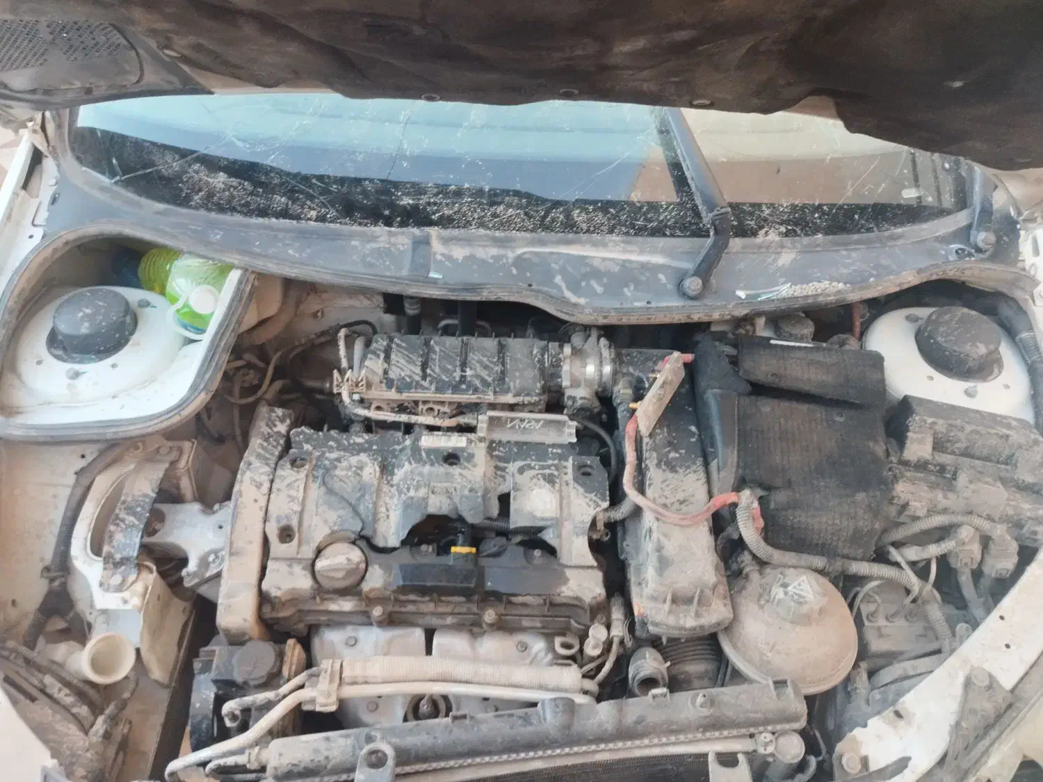 پژو 206 تیپ 5 - 1395