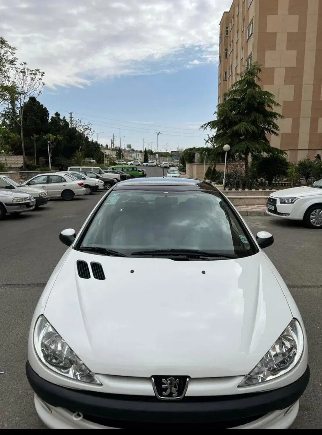 پژو 206 تیپ 3 پانوراما - 1401