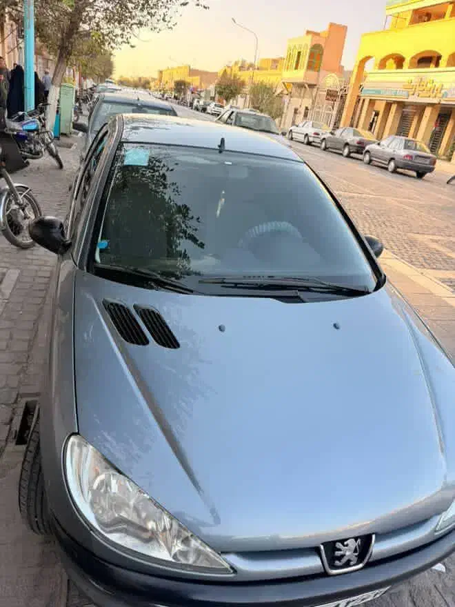 پژو 206 تیپ 3 - 1395
