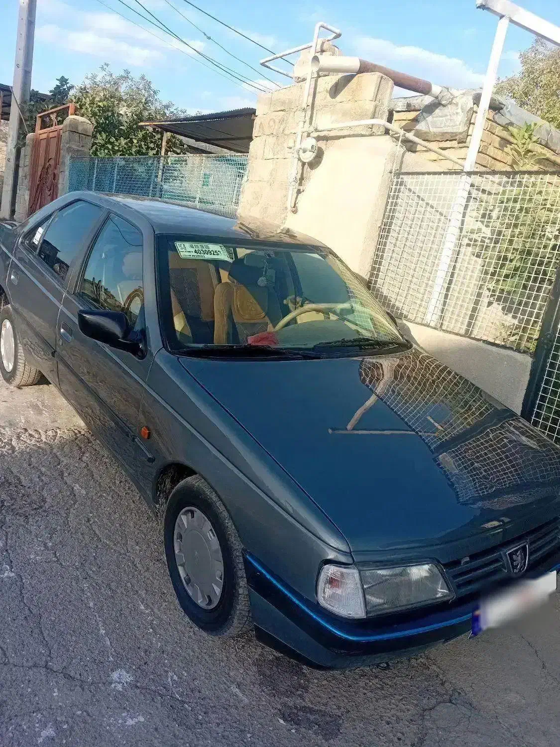 پژو 405 GLX - دوگانه سوز - 1389