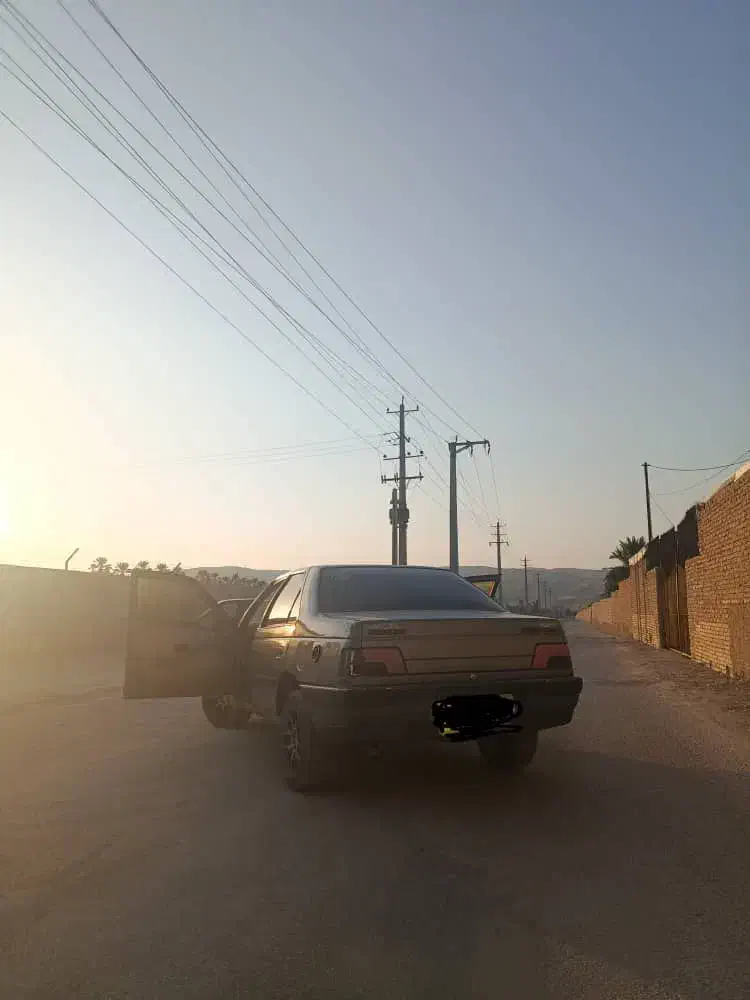 پژو 405 GLX - دوگانه سوز - 1394