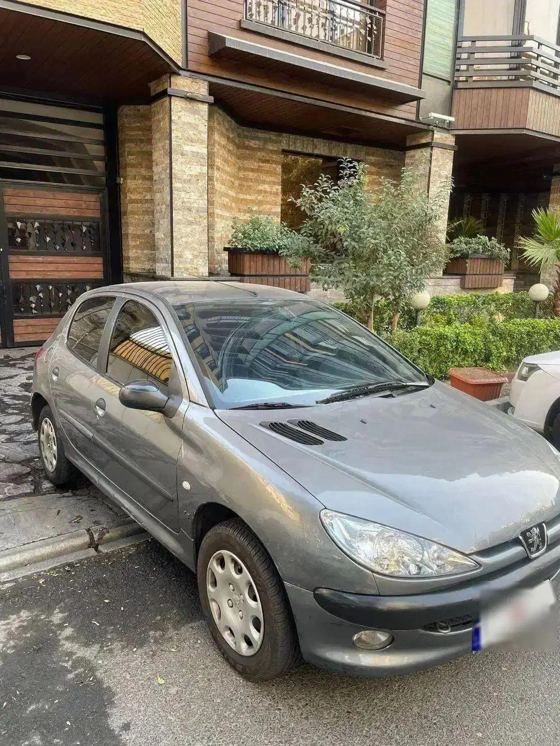 پژو 206 تیپ 2 - 1389