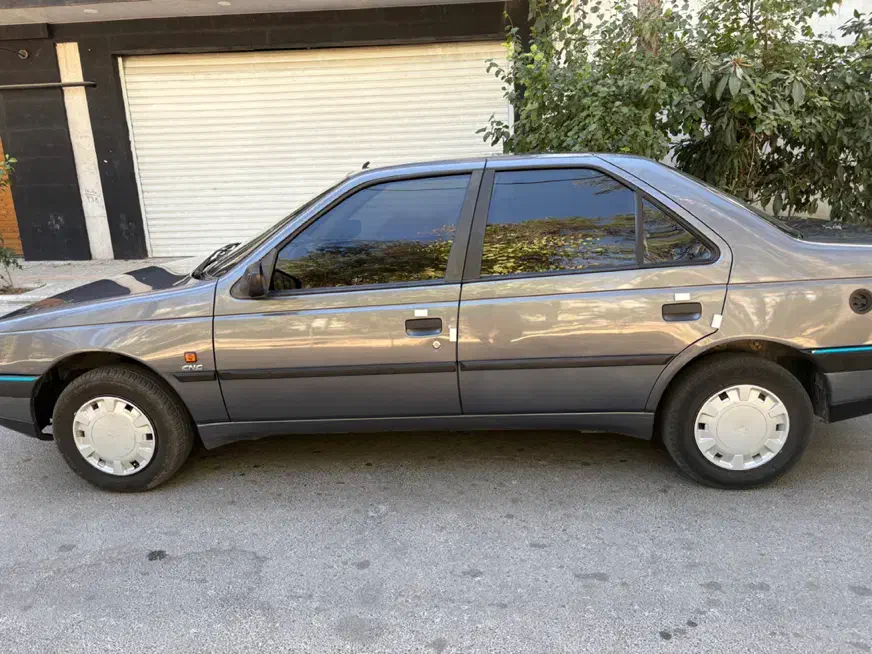 خودرو پژو، 405 آگهی ann_20929906