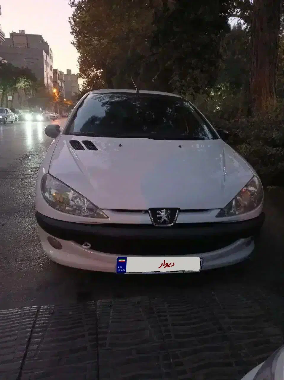 پژو 206 تیپ 2 - 1399