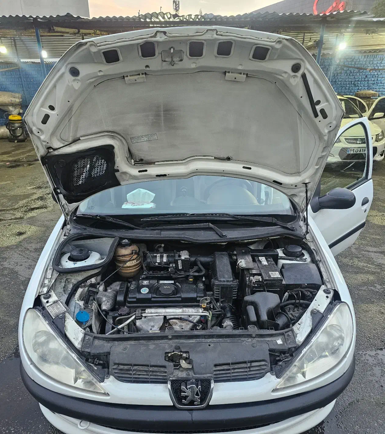 پژو 206 تیپ 2 - 1399