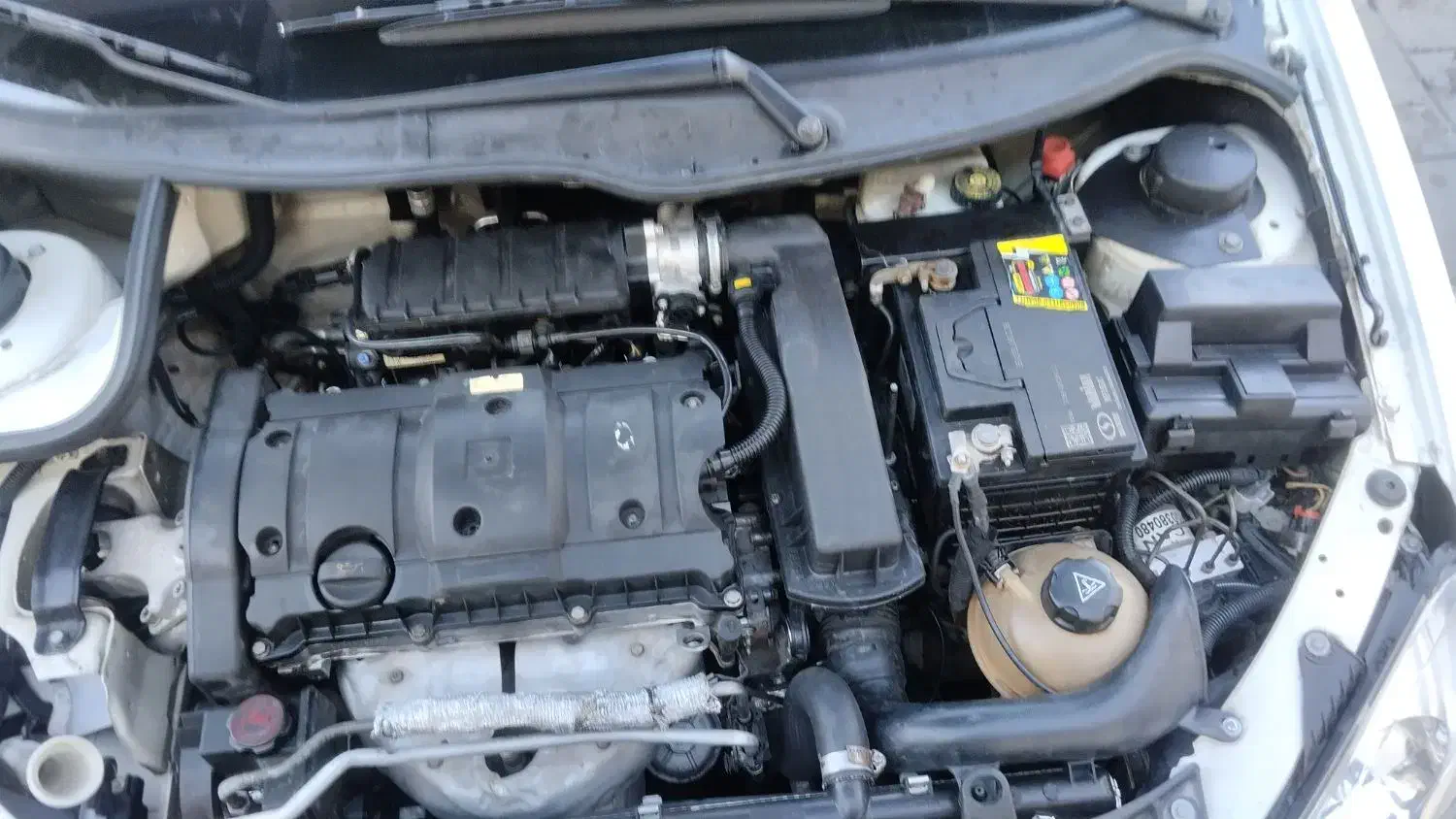 پژو 206 تیپ 5 - 1393