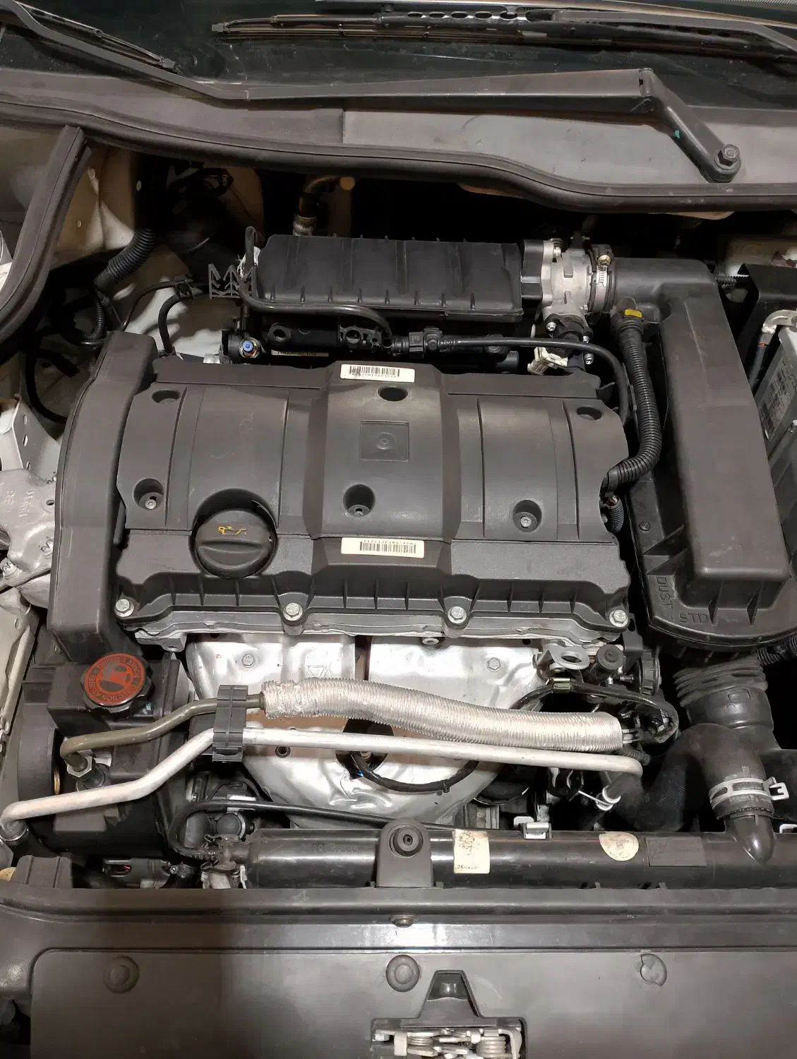 پژو 206 تیپ 5 - 1393