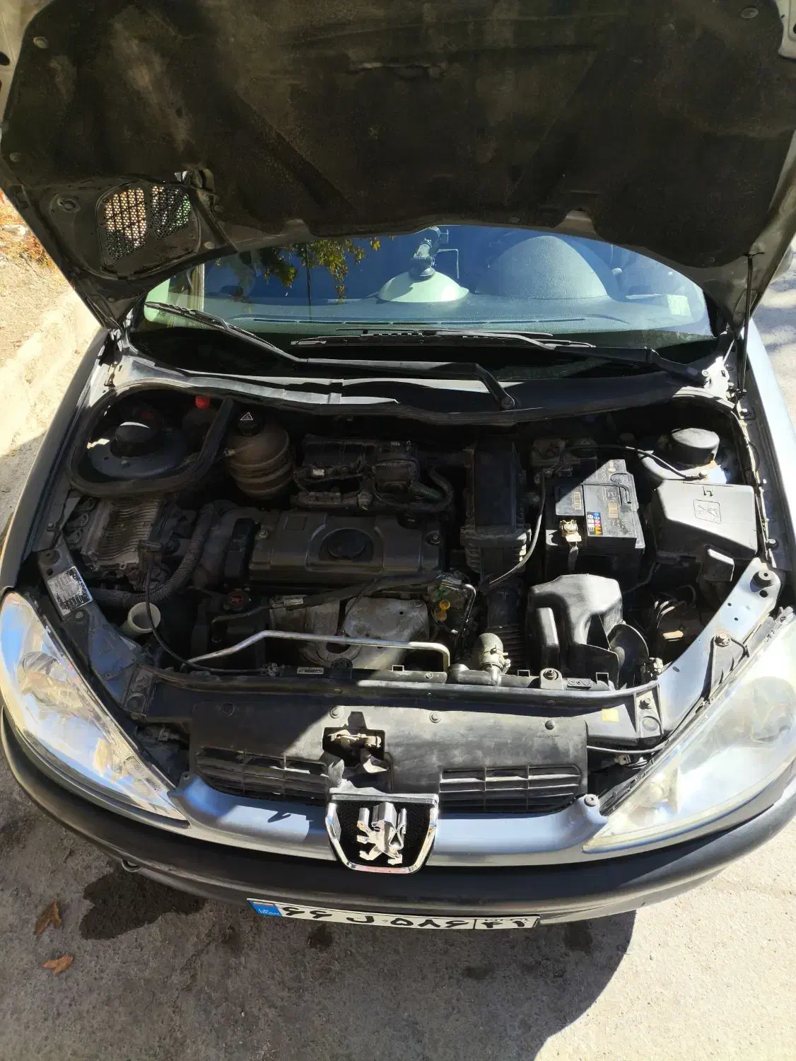 پژو 206 تیپ 2 - 1389