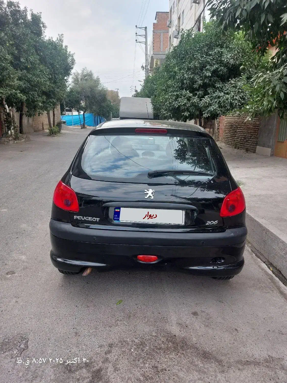 پژو 206 تیپ 5 - 1394
