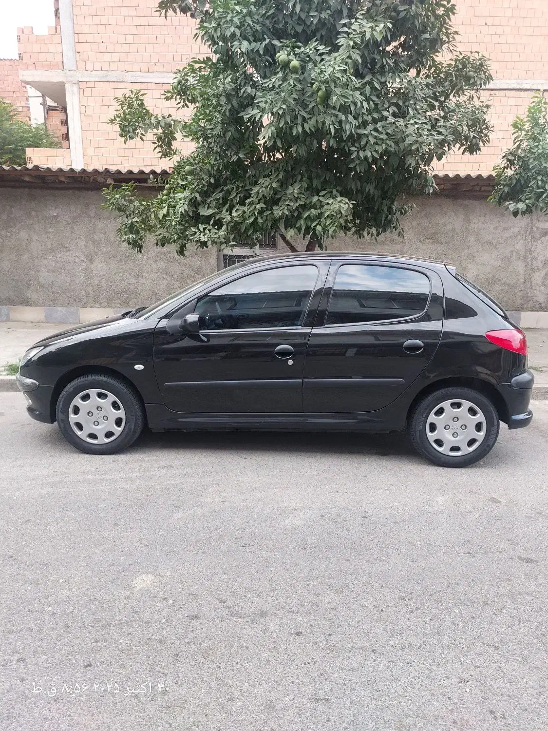 پژو 206 تیپ 5 - 1394