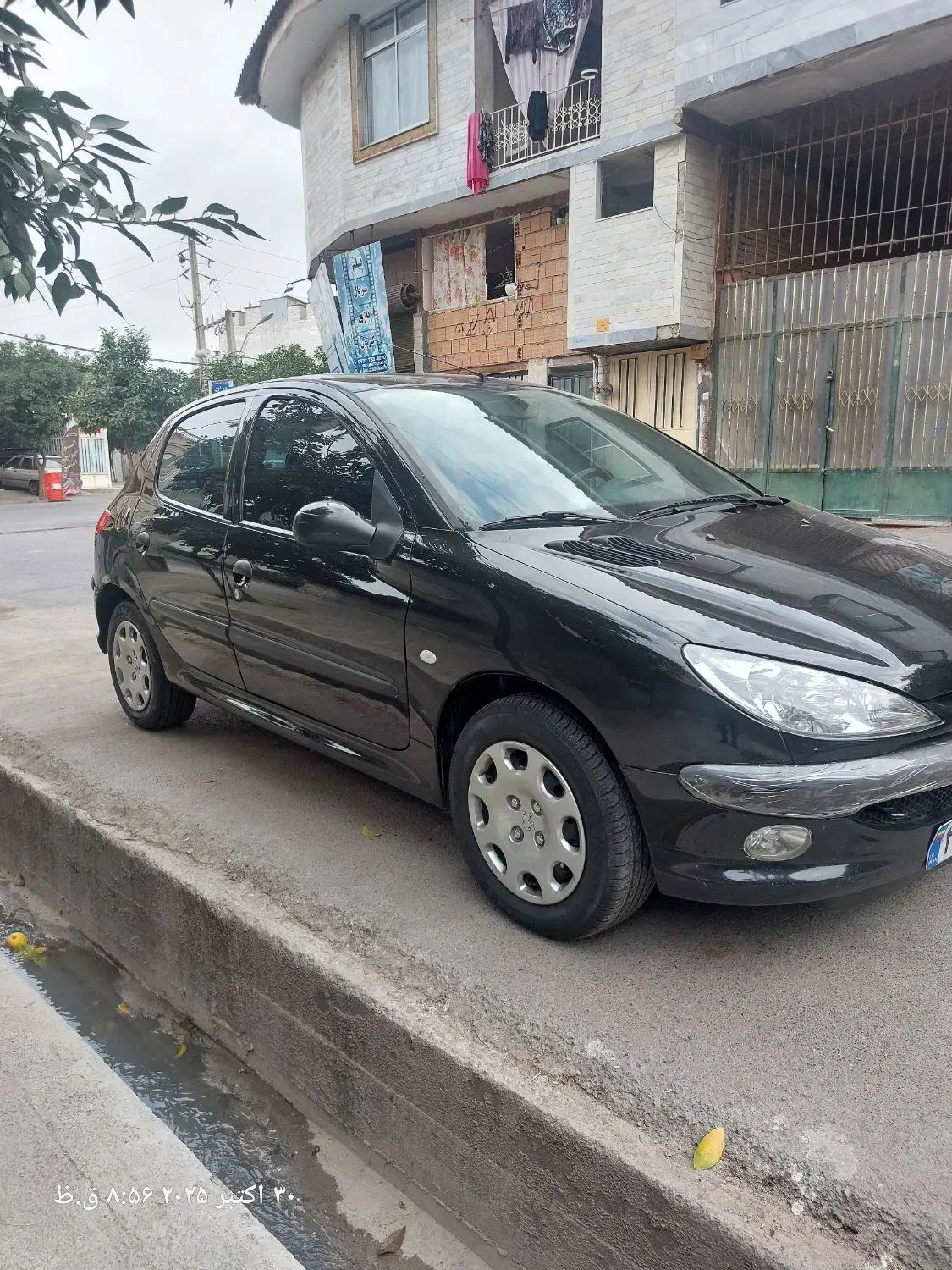 پژو 206 تیپ 5 - 1394