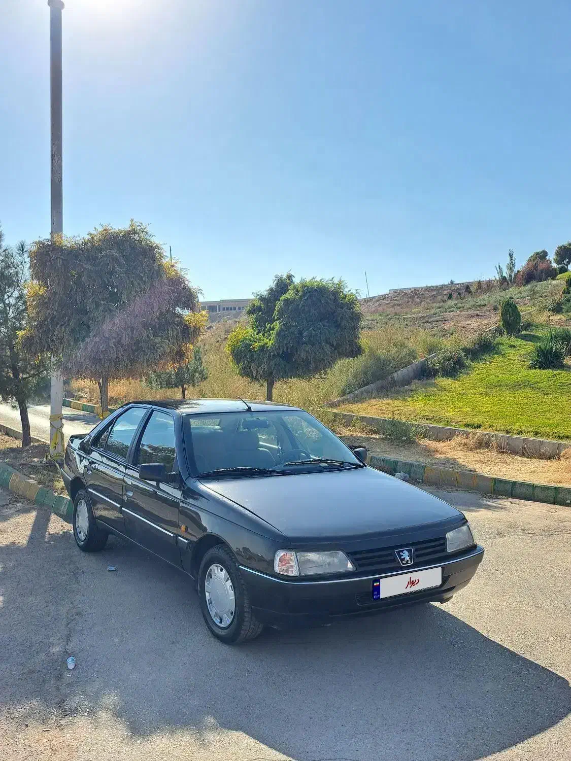 پژو 405 GLX - 1389