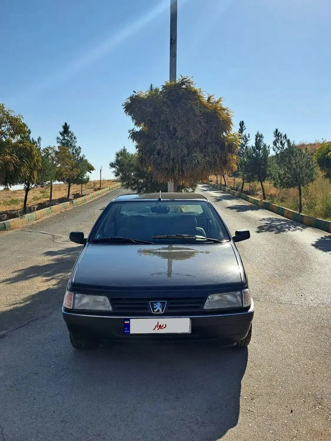 پژو 405 GLX - 1389