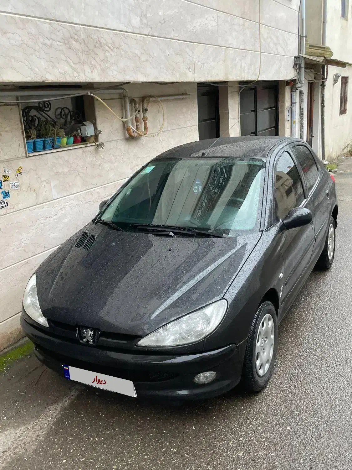 پژو 206 تیپ 5 - 1393