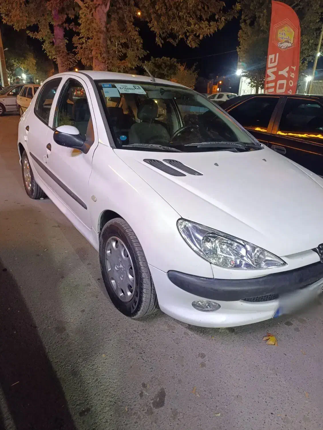 پژو 206 تیپ 5 - 1394