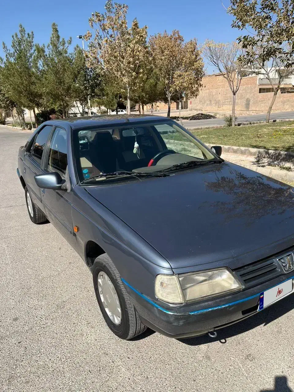 پژو 405 GL - دوگانه سوز CNG - 1395