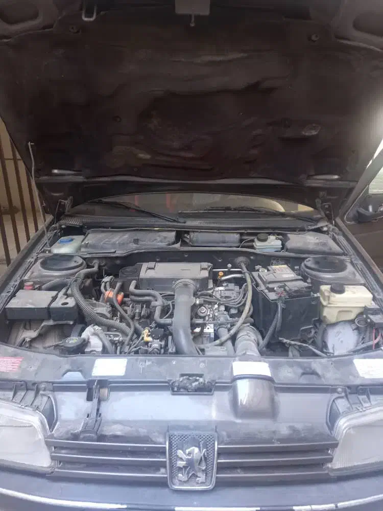 پژو 405 GLX - 1382