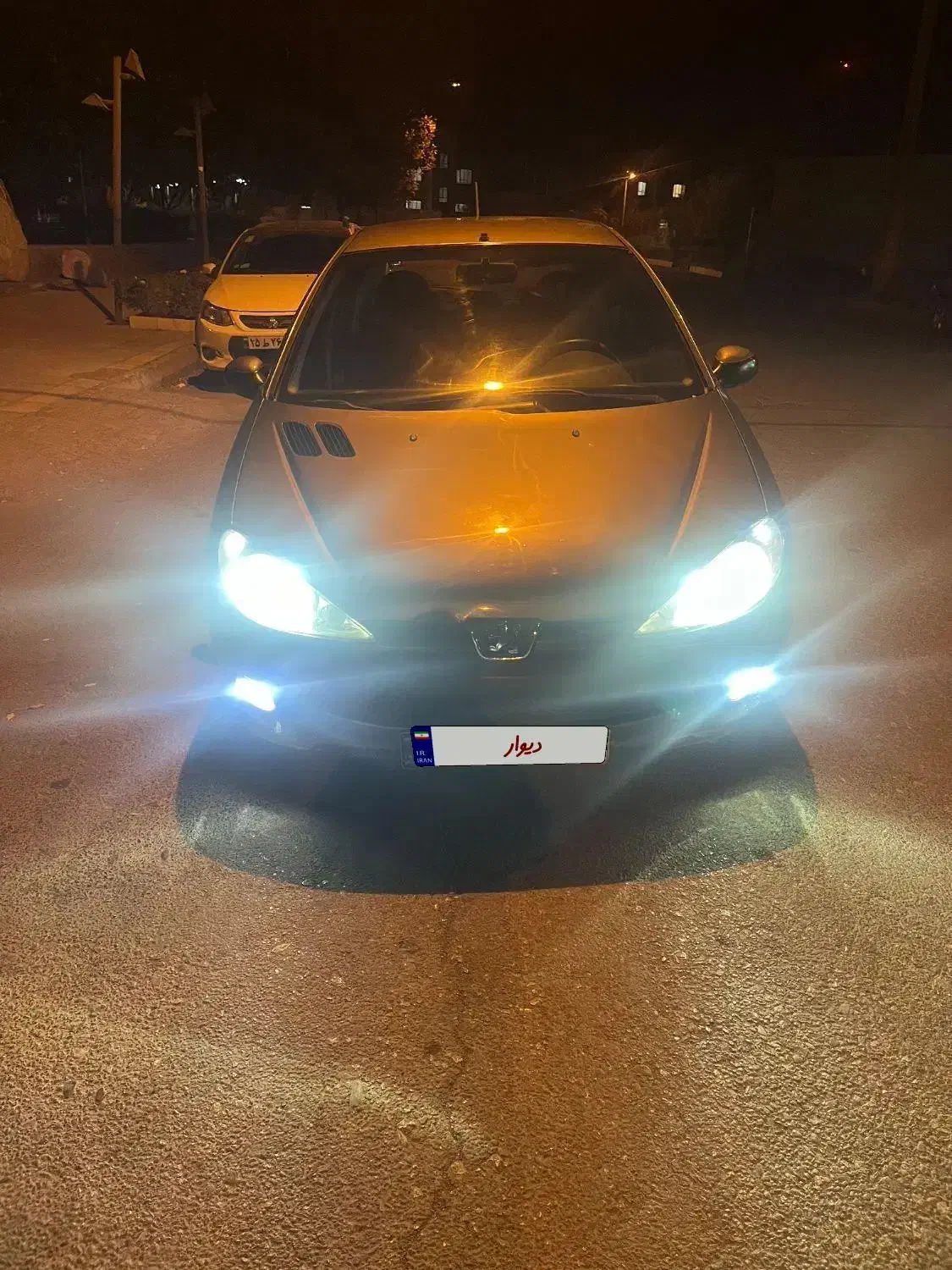 پژو 206 تیپ 5 - 1393