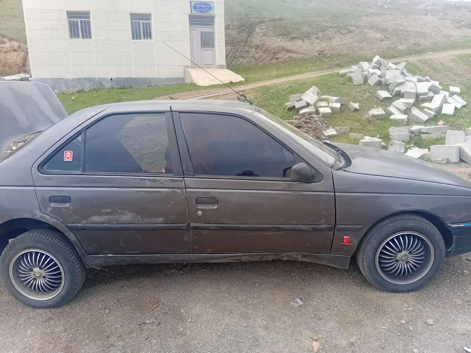 پژو 405 GLX - دوگانه سوز - 1381