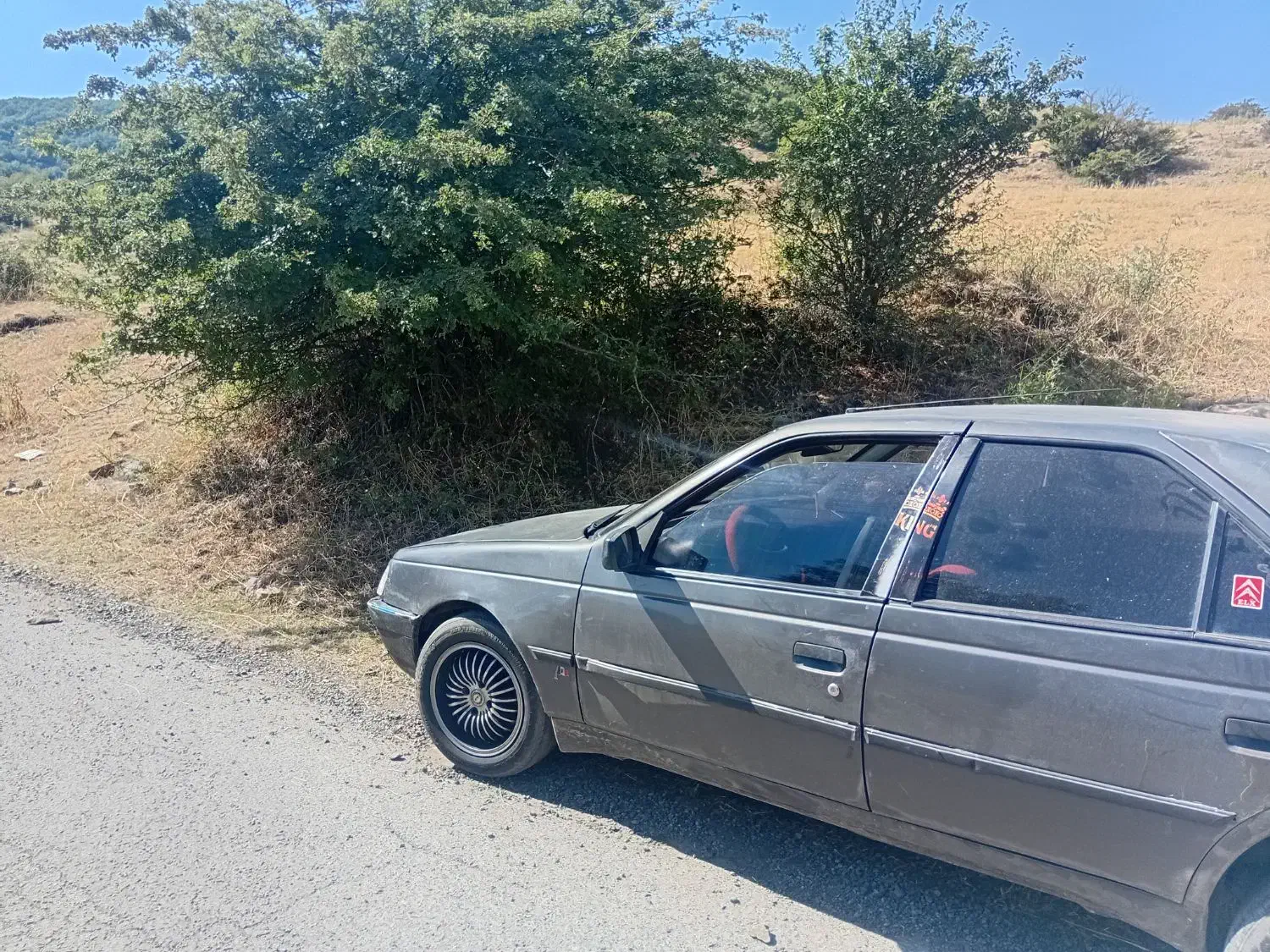 پژو 405 GLX - دوگانه سوز - 1381