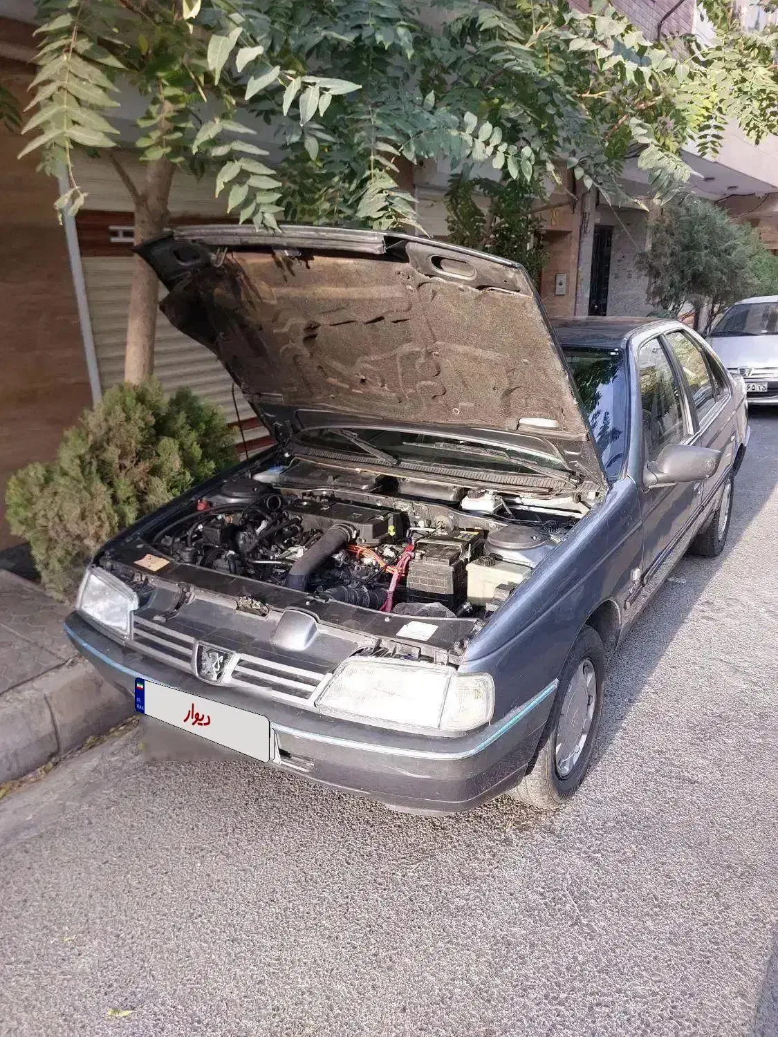 پژو 405 GLX - دوگانه سوز - 1399