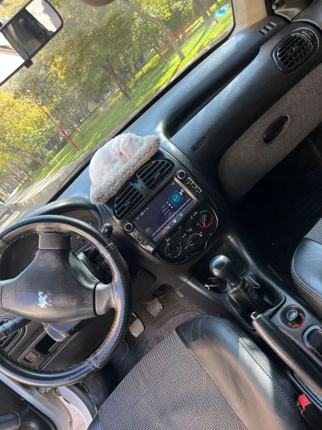 پژو 206 تیپ 2 - 1390