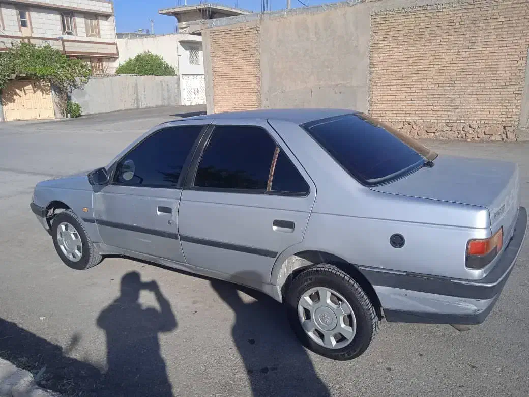 پژو 405 GLX - دوگانه سوز - 1389