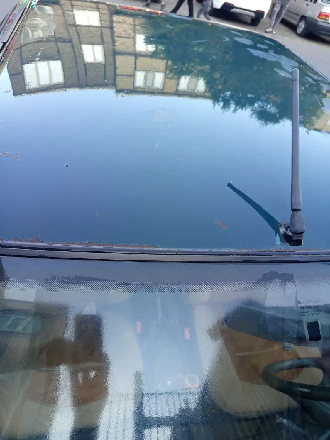 پژو آردی دوگانه سوز CNG - 1384