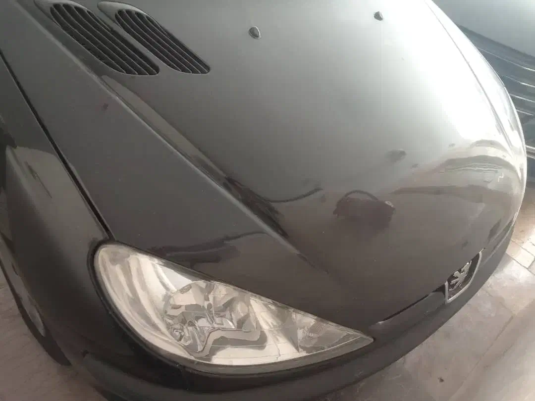 پژو 206 تیپ 2 - 1394