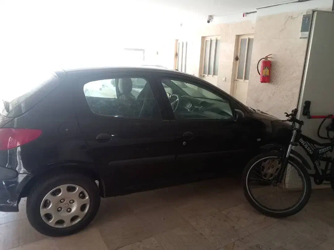 پژو 206 تیپ 2 - 1394