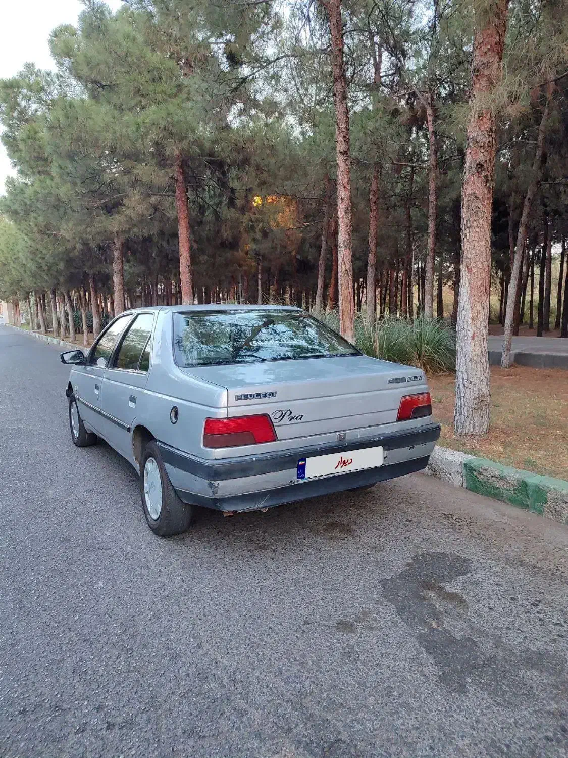 پژو 405 GLX - دوگانه سوز - 1390