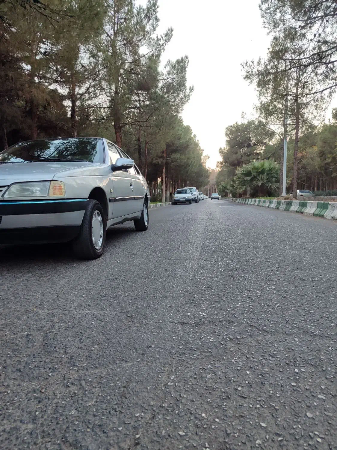 پژو 405 GLX - دوگانه سوز - 1390