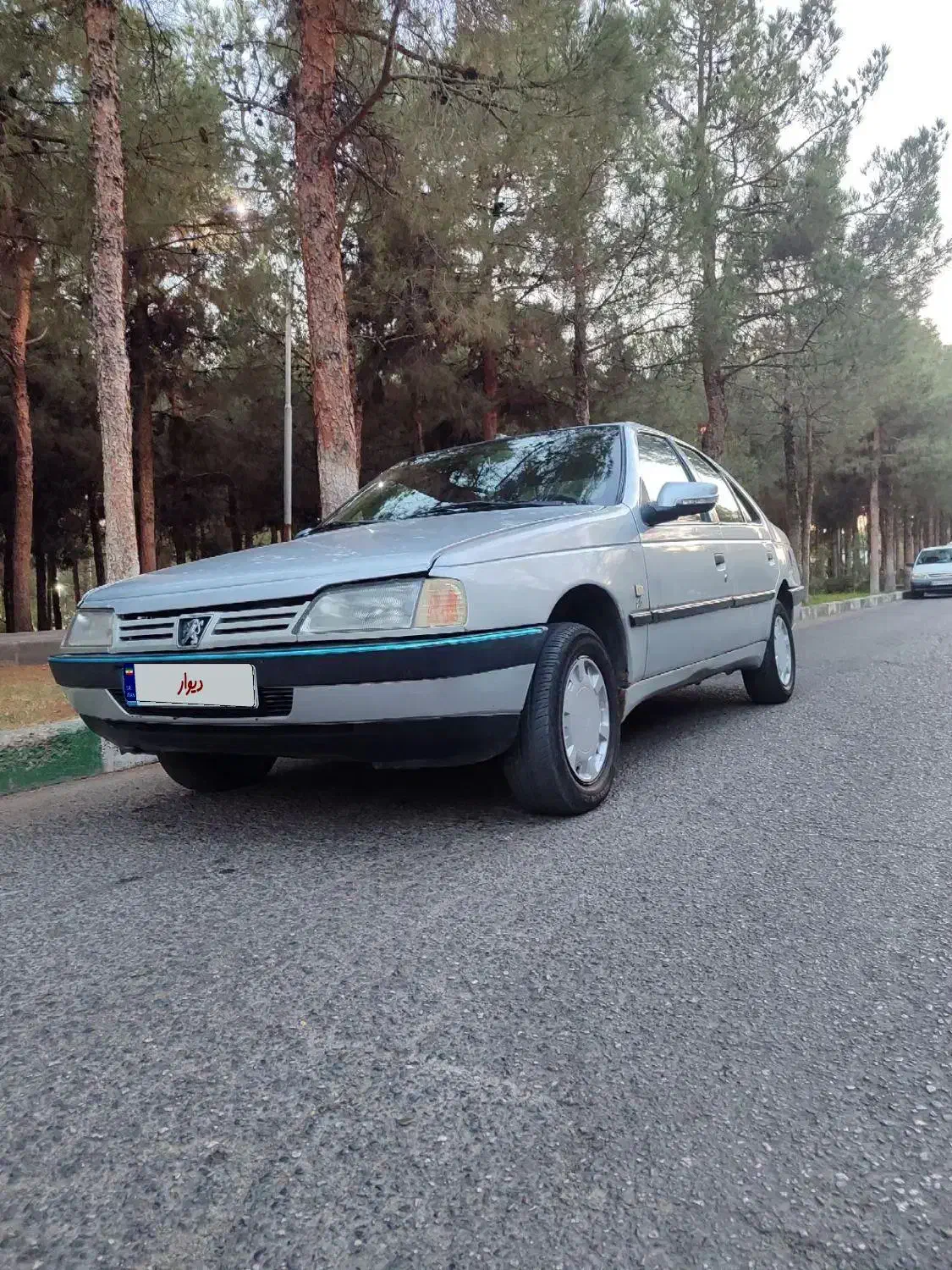 پژو 405 GLX - دوگانه سوز - 1390