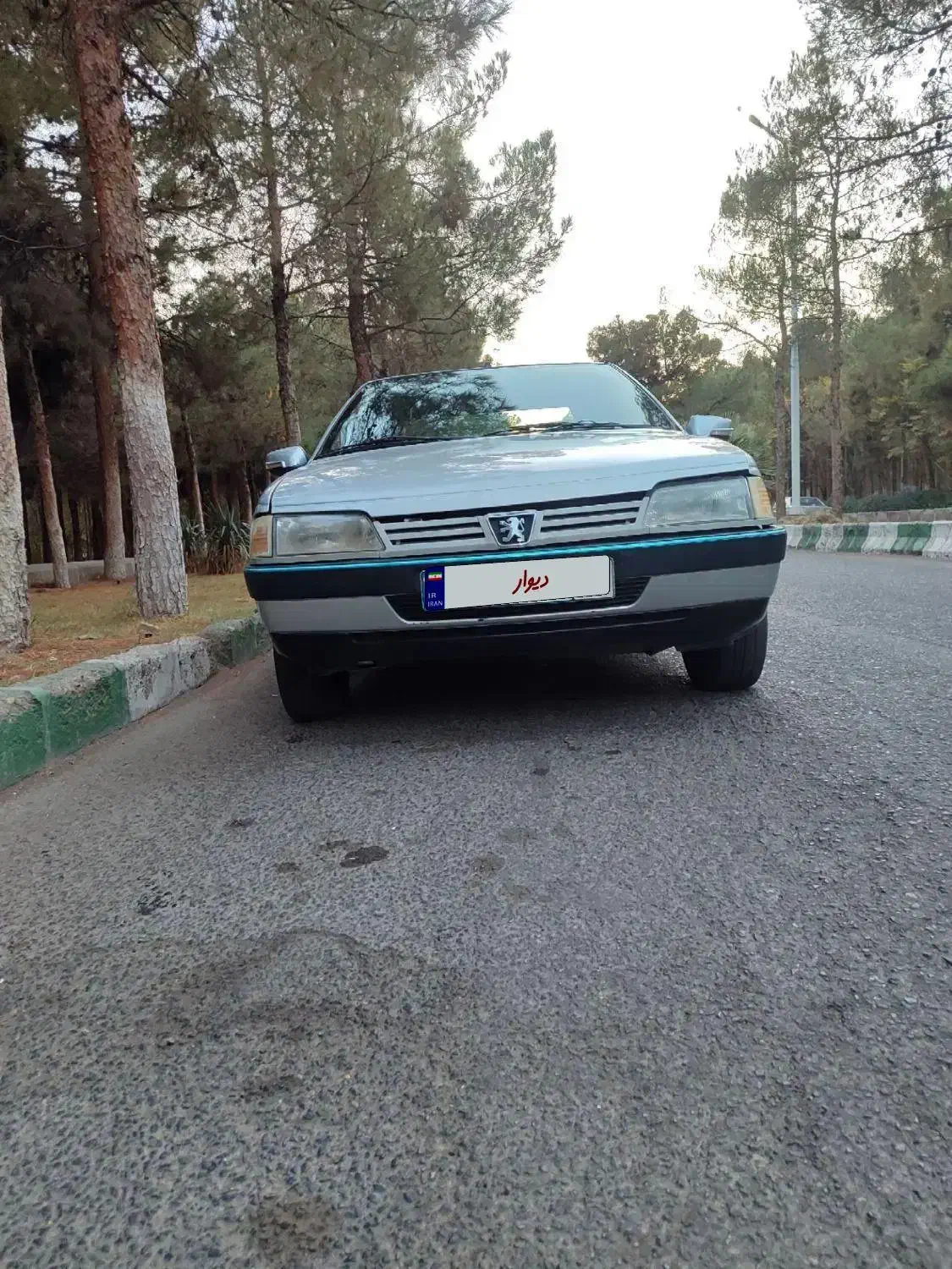 پژو 405 GLX - دوگانه سوز - 1390