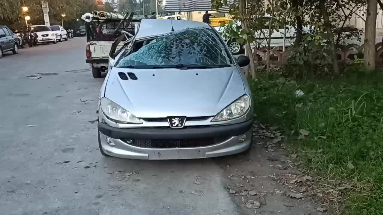 خودرو پژو، 206 آگهی ann_20935717