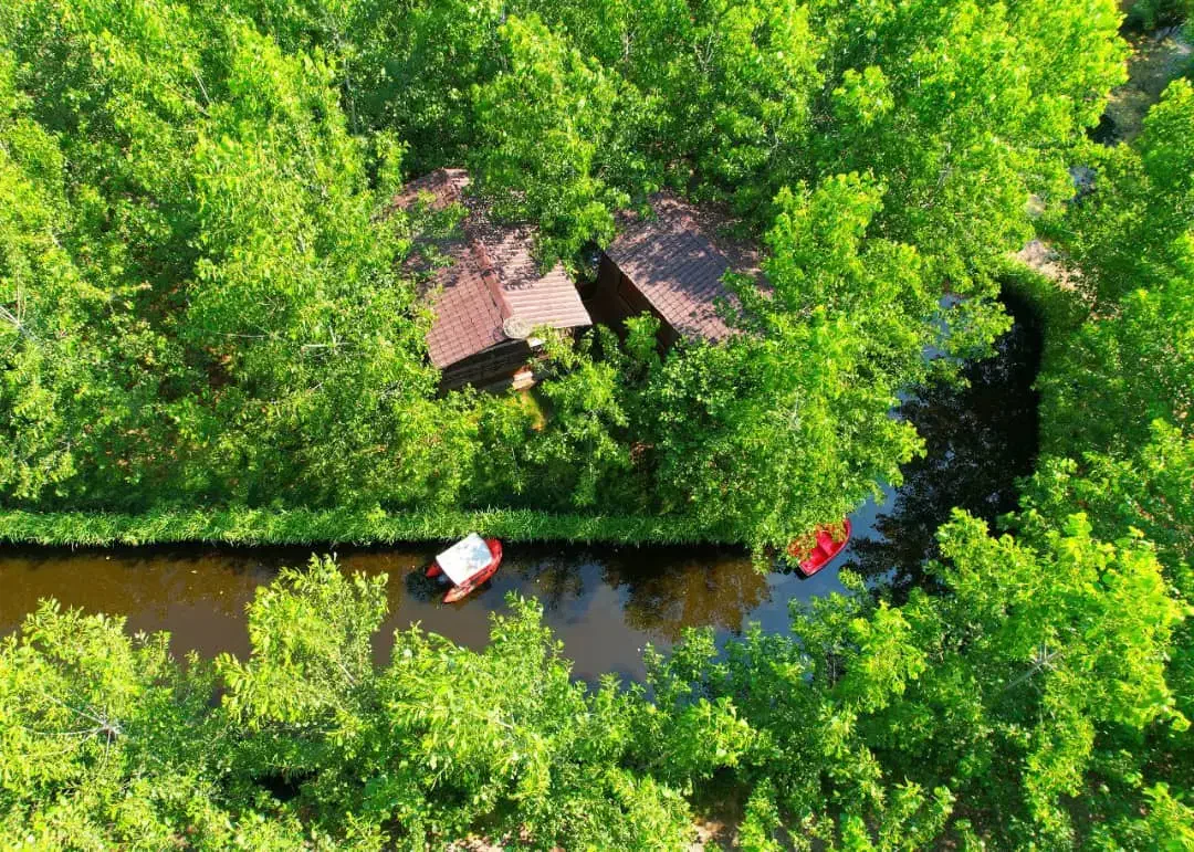 پژو 206 تیپ 2 - 1392