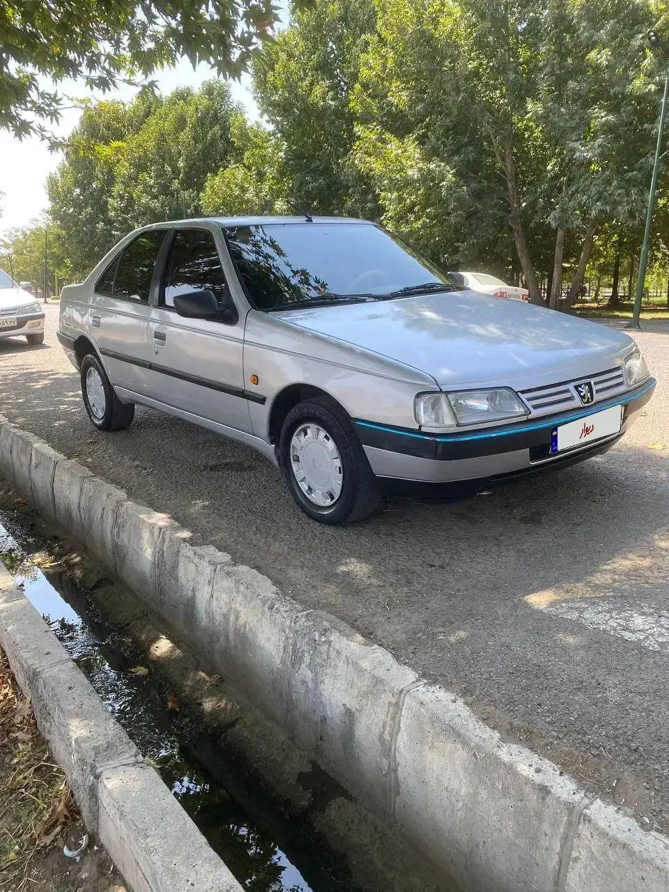 خودرو پژو، 405 آگهی ann_20935838