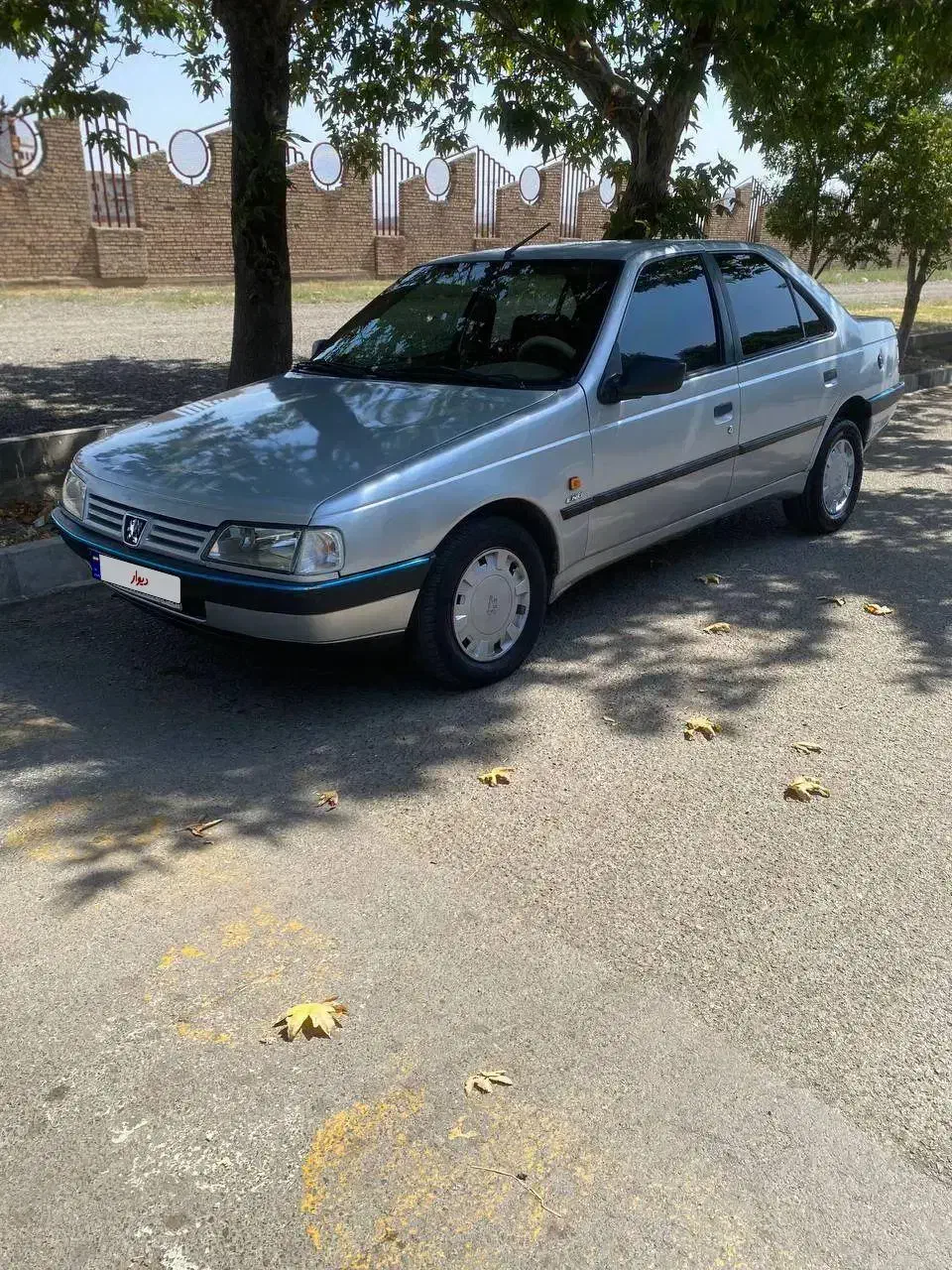 پژو 405 GLX - دوگانه سوز - 1389