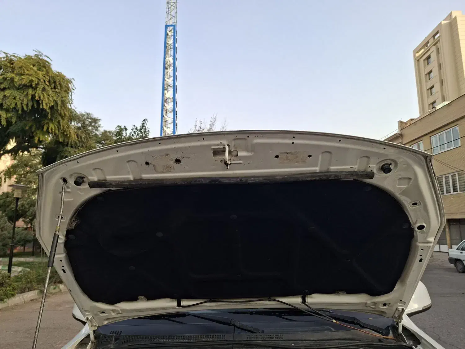 فوتون تونلند پیکاپ دیزلی - 1393