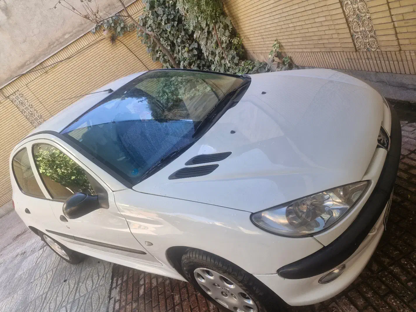 پژو 206 تیپ 2 - 1395