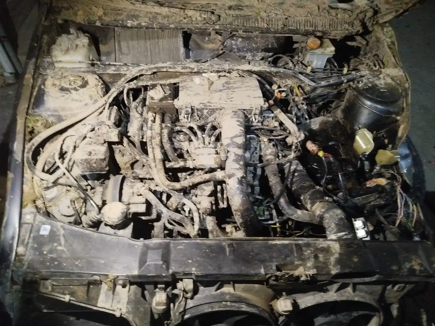 پژو 405 GLX - دوگانه سوز - 1394