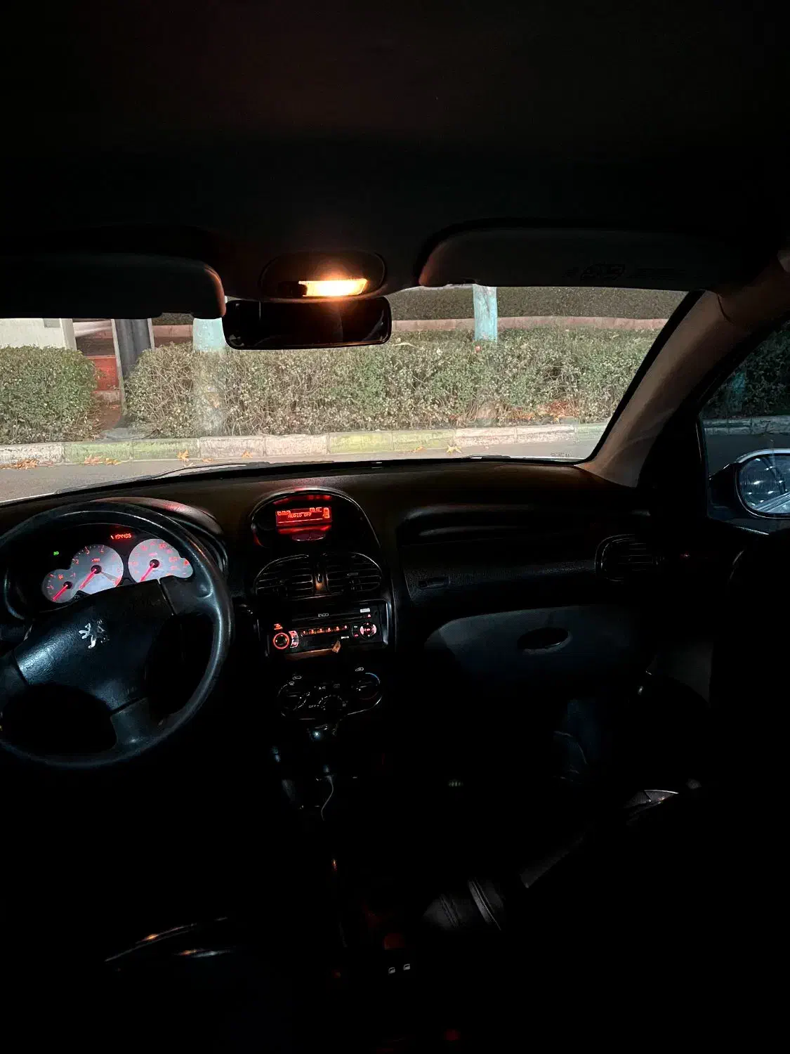 پژو 206 تیپ 2 - 1394