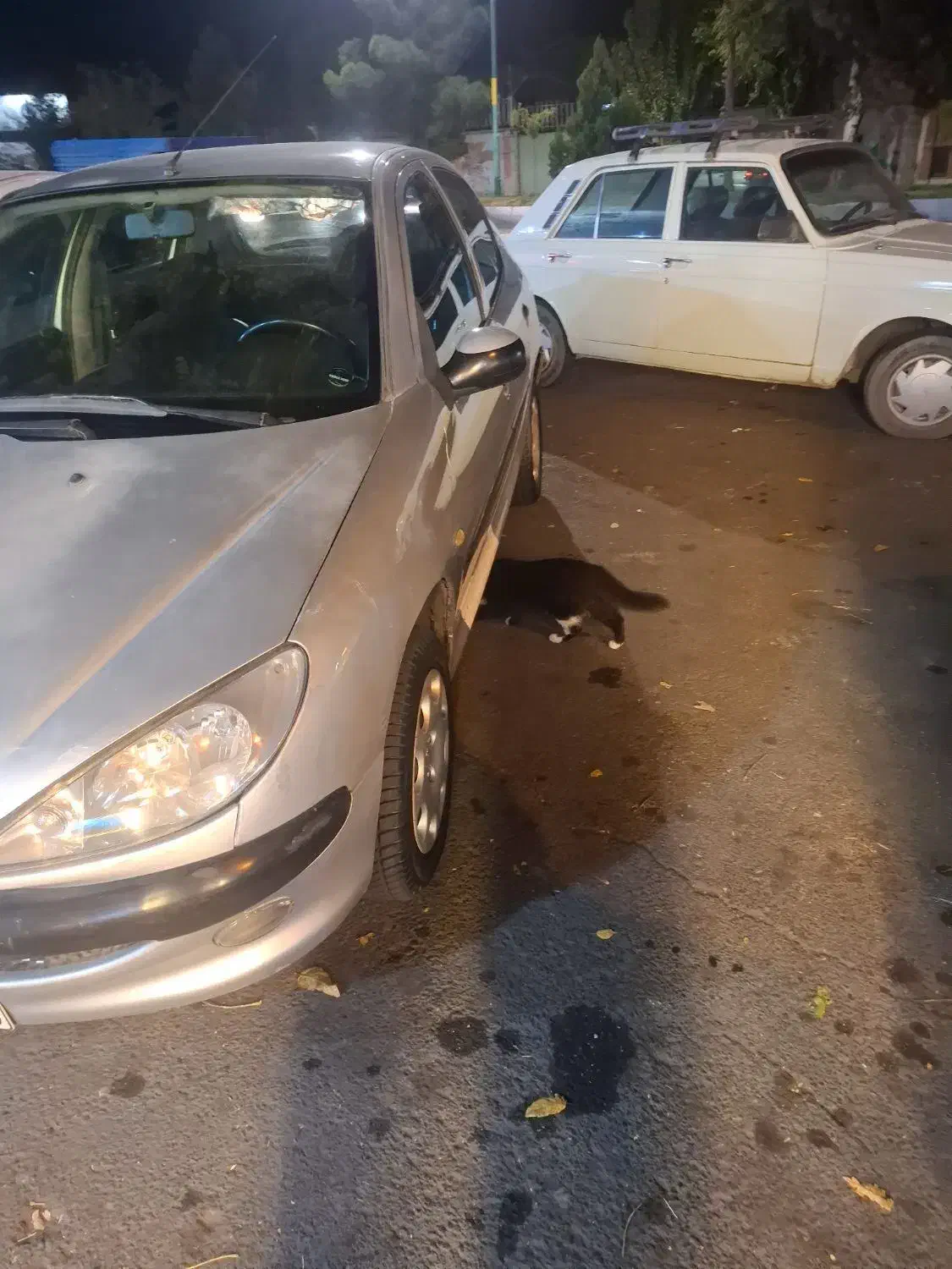 پژو 206 تیپ 2 - 1384