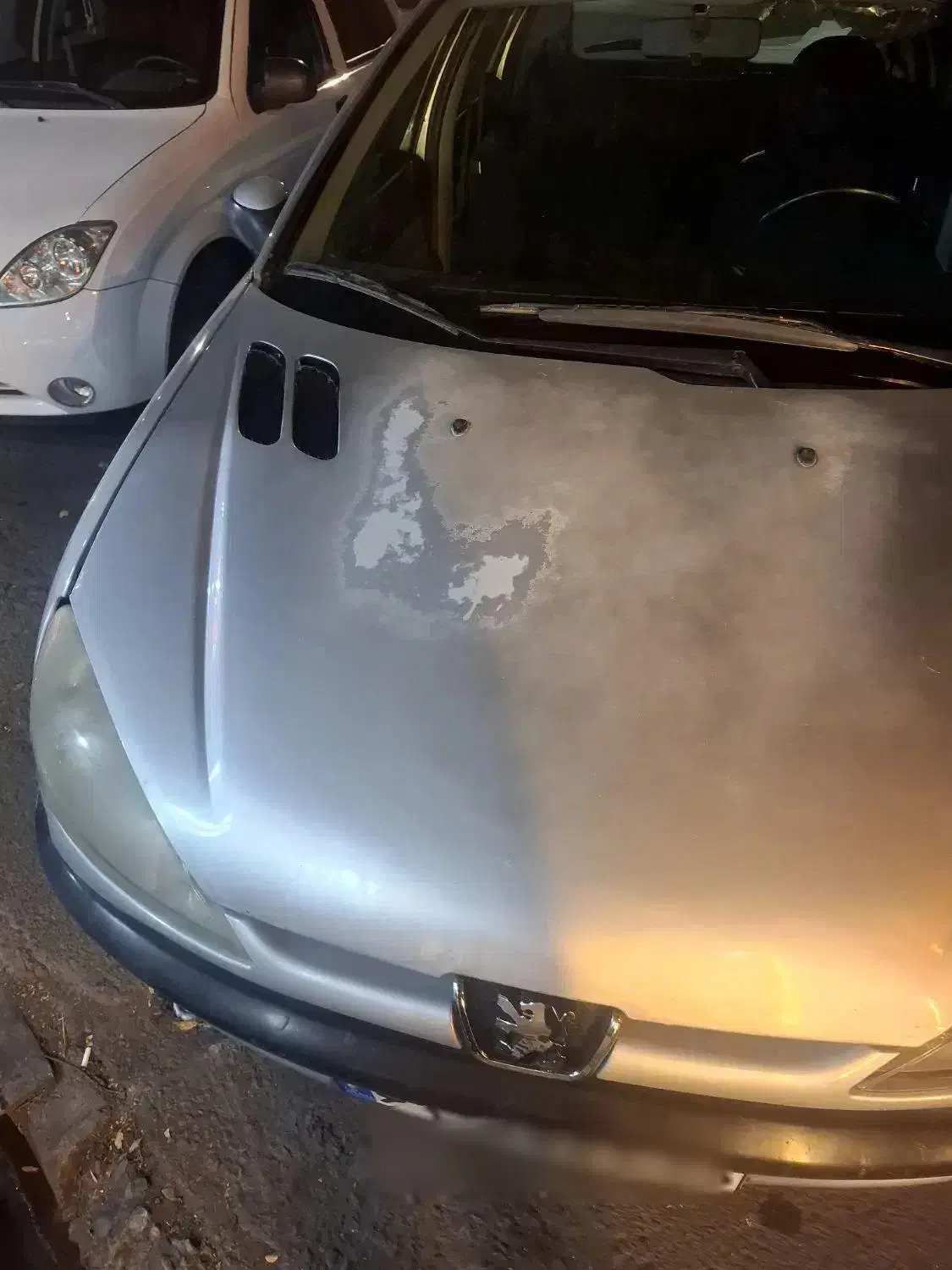 پژو 206 تیپ 2 - 1384