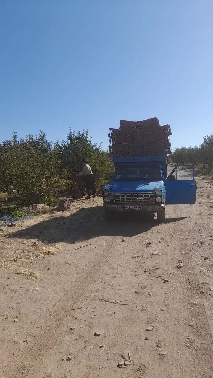 خودرو زامیاد، وانت نیسانZ24 آگهی ann_20936607