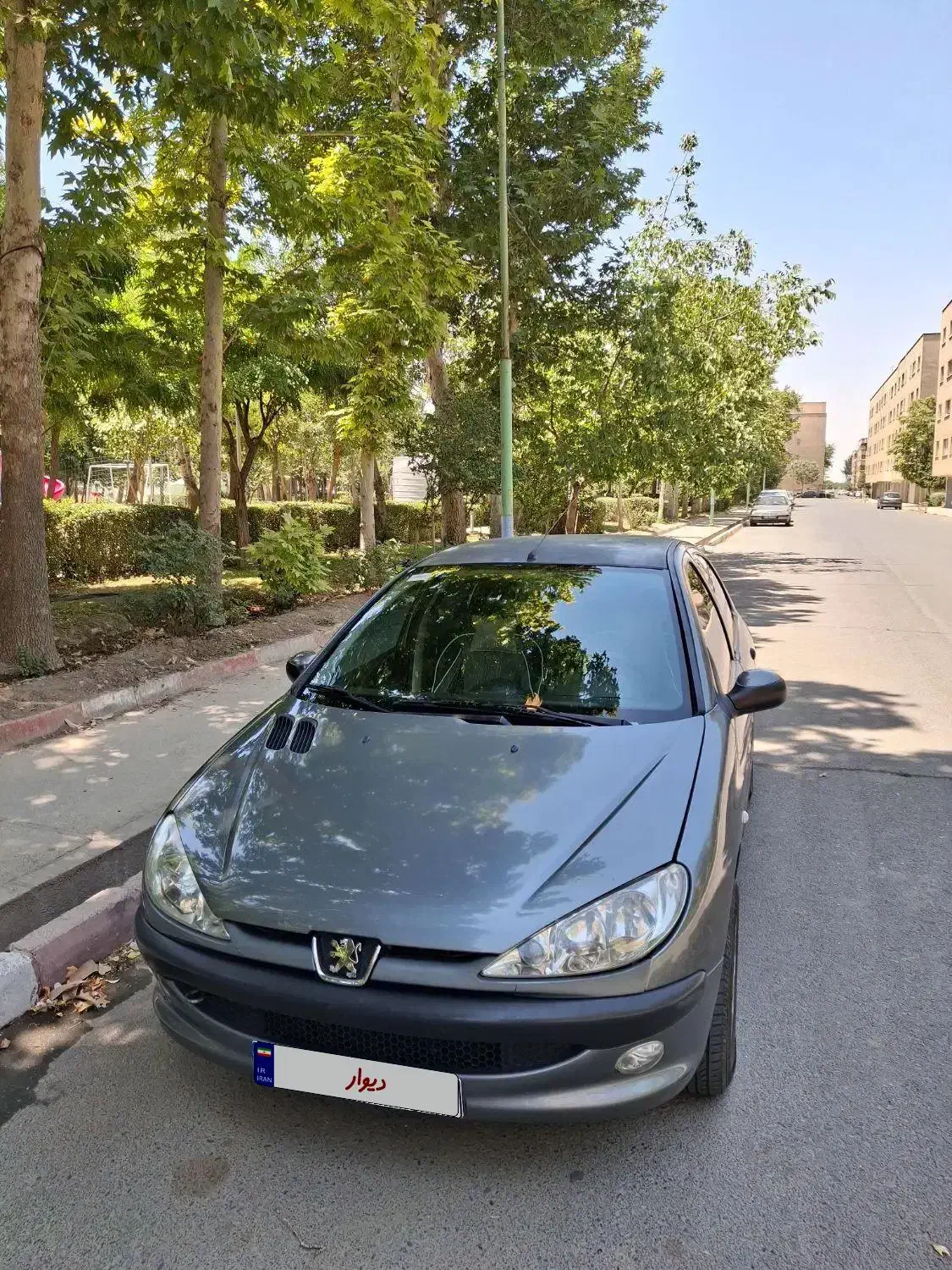 پژو 206 تیپ 5 - 1393