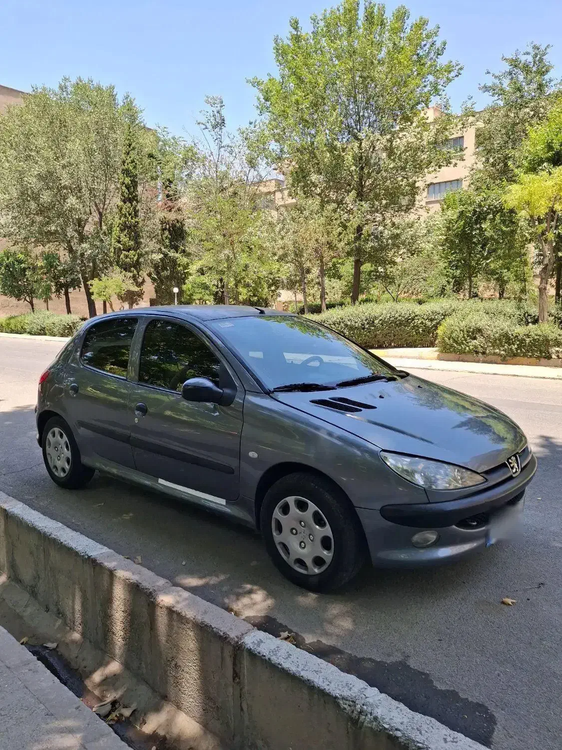 پژو 206 تیپ 5 - 1393