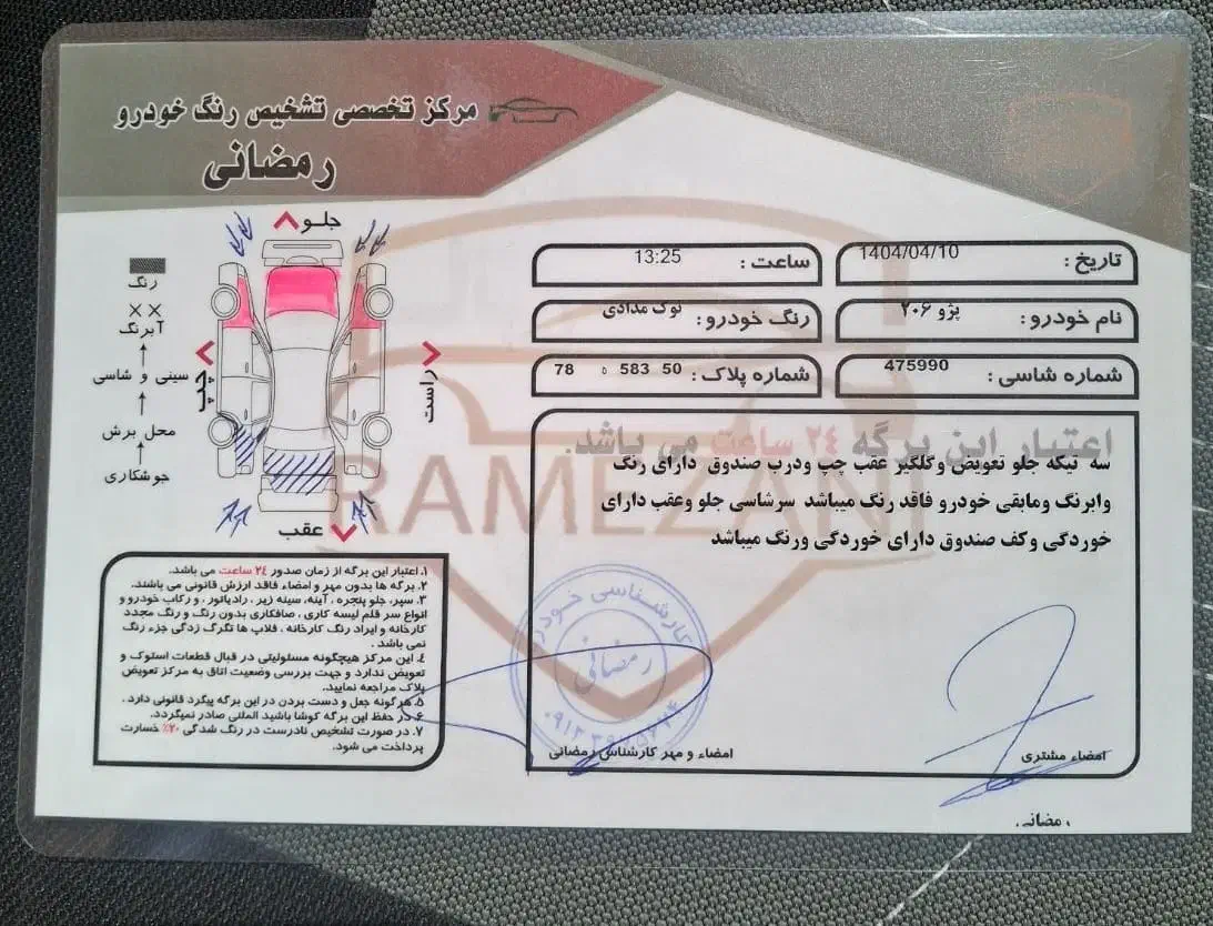پژو 206 تیپ 5 - 1393