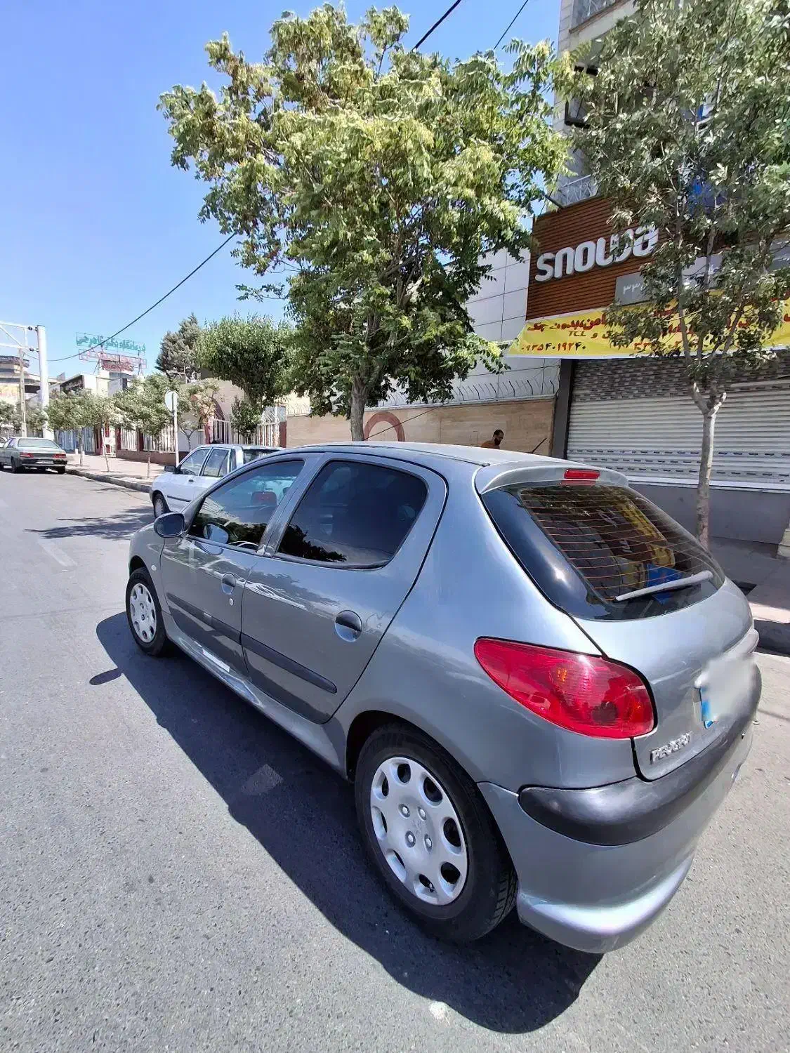 پژو 206 تیپ 5 - 1393