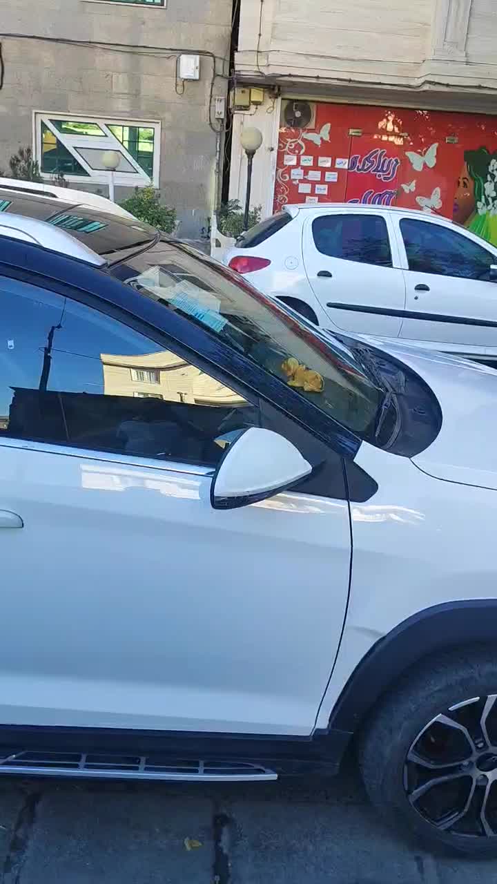 خودرو ام وی ام، X22 پرو آگهی ann_20936673